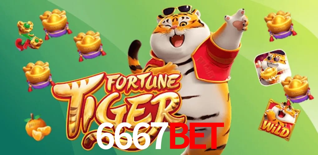 Statistics 6667bet